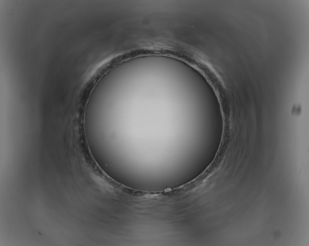 X0000093231304200709261501
