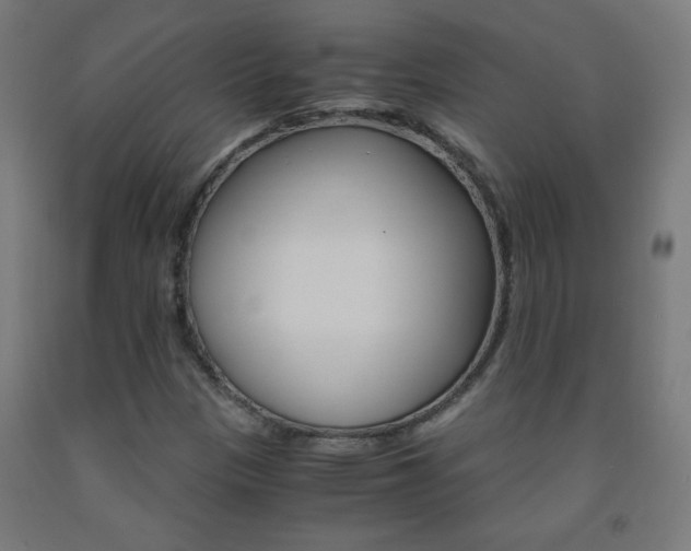 X0000093231305200709261501