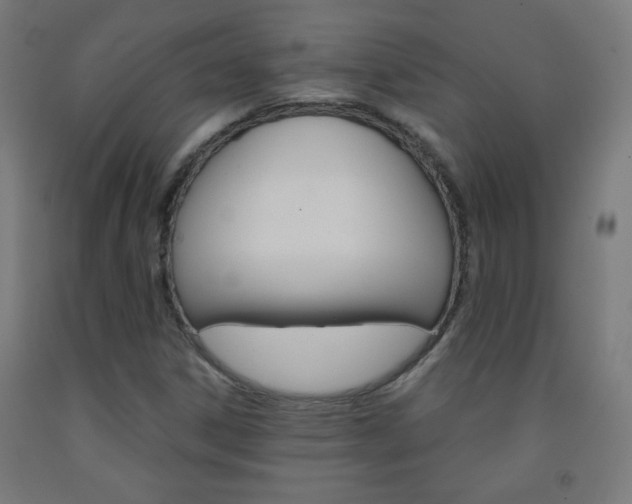 X0000093231306200709261501