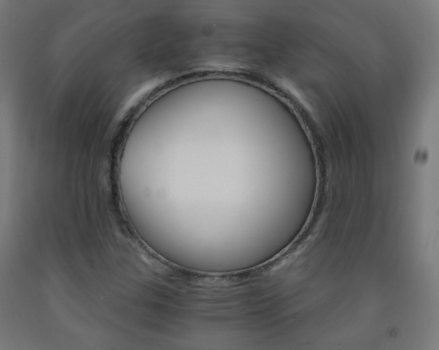 X0000093231307200709261501