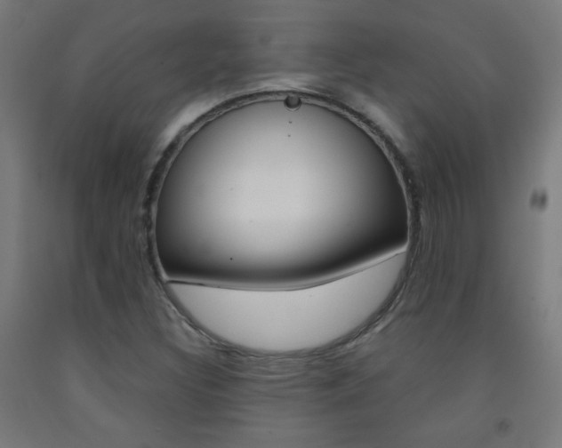 X0000093231308200709261501