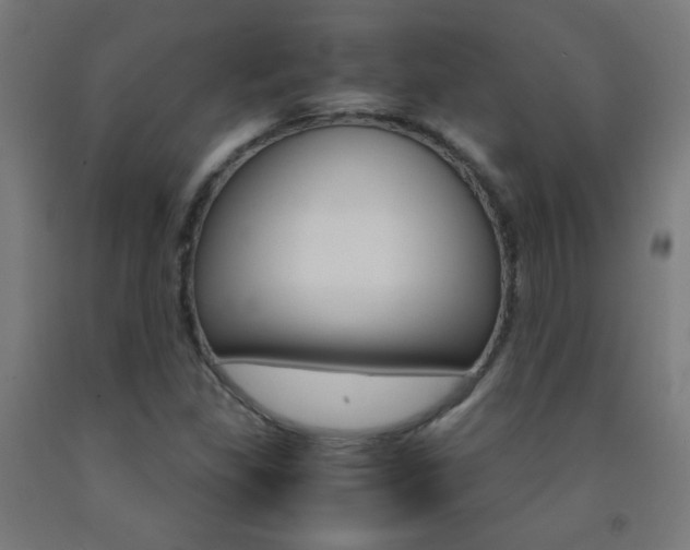 X0000093231309200709261501