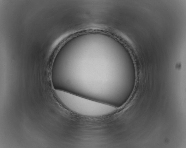 X0000093231310200709261501