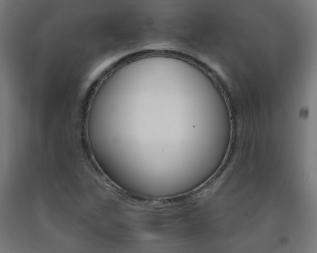 X0000093231311200709261501