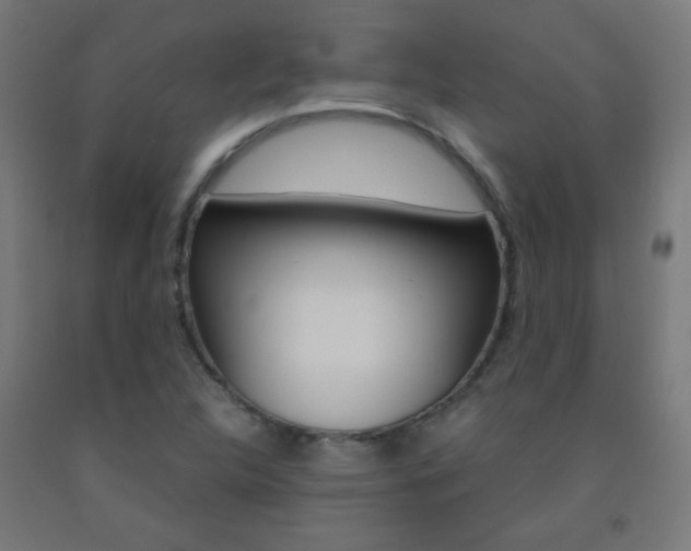 X0000093231312200709261501