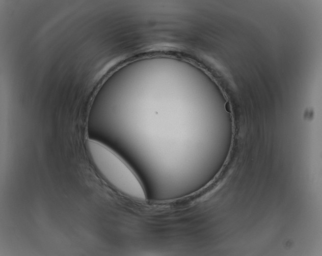 X0000093231313200709261501