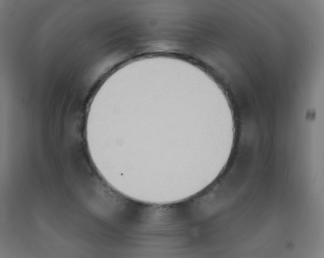 X0000093231314200709261501