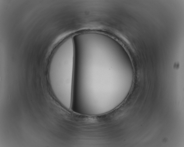 X0000093231315200709261501