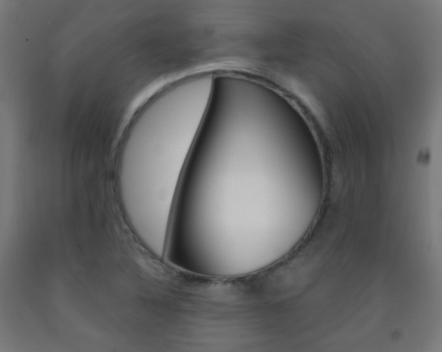 X0000093231316200709261501