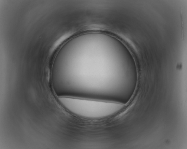 X0000093231317200709261501