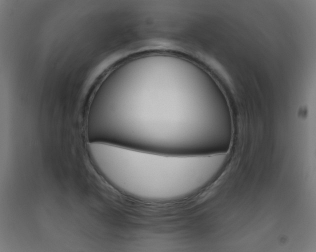 X0000093231318200709261501