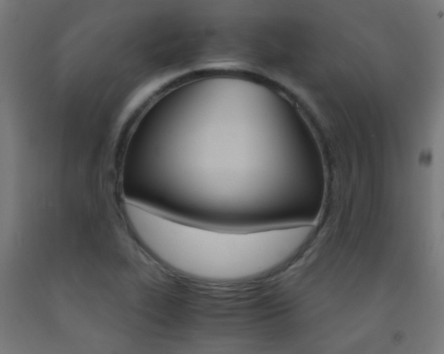 X0000093231319200709261501