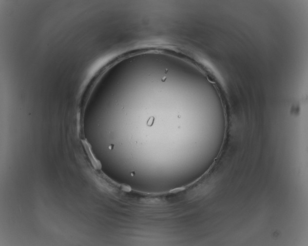 X0000093231320200709261501