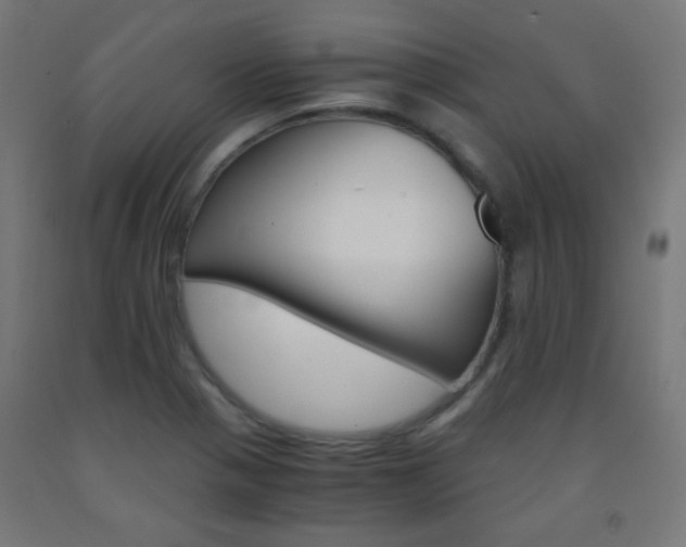 X0000093231321200709261501