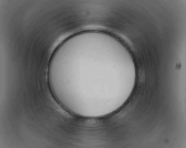 X0000093231322200709261501