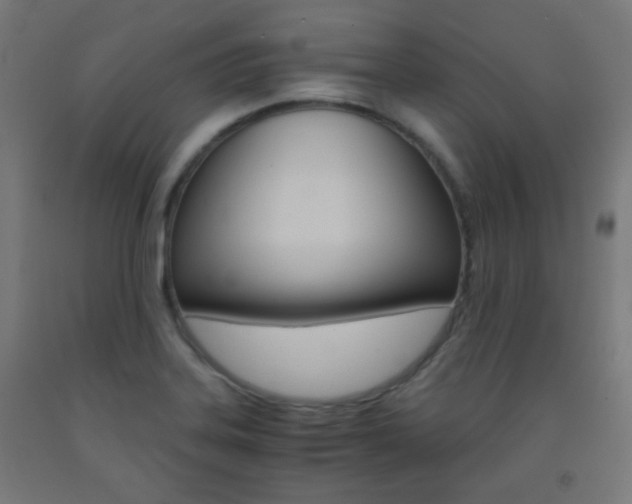 X0000093231323200709261501
