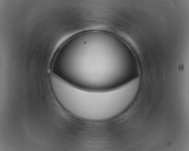 X0000093231324200709261501