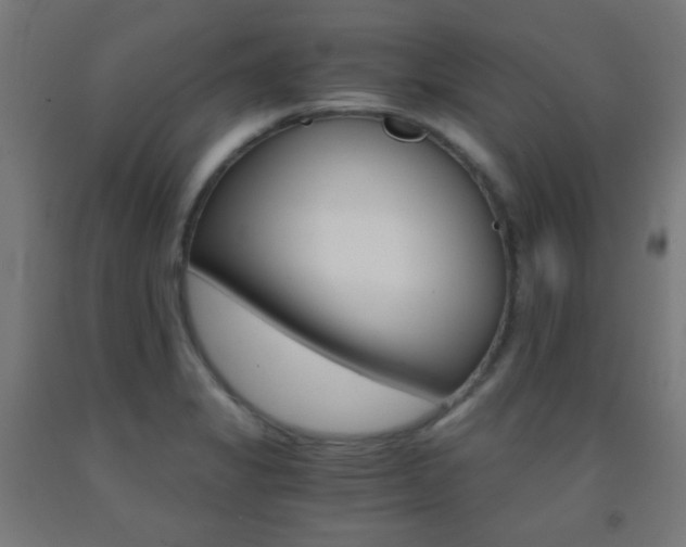 X0000093231325200709261501