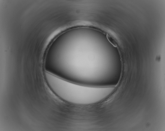 X0000093231326200709261501