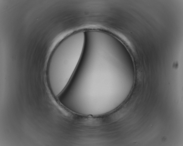 X0000093231327200709261501