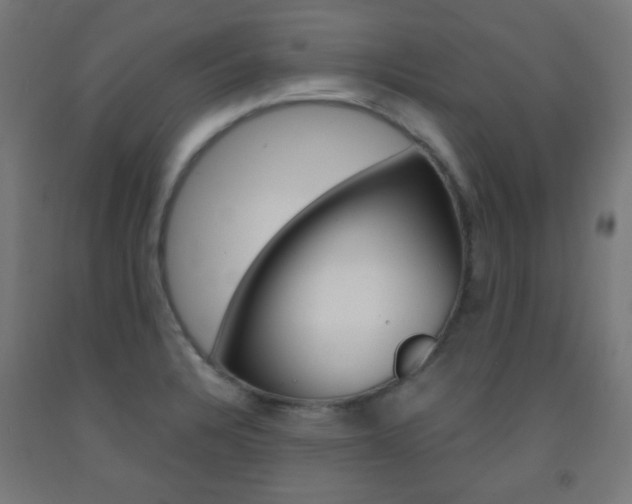 X0000093231328200709261501