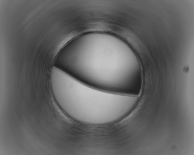 X0000093231329200709261501