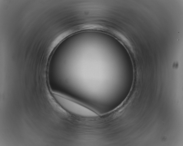 X0000093231330200709261501
