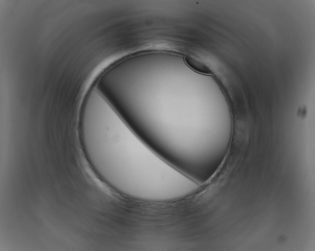 X0000093231331200709261501