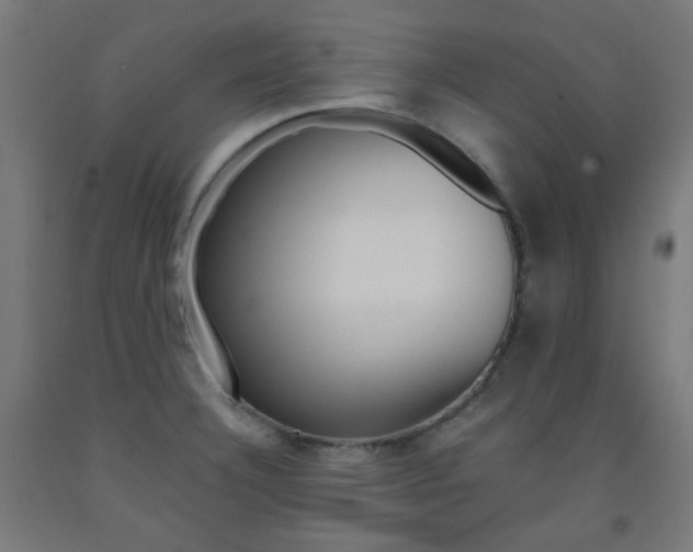 X0000093231332200709261501