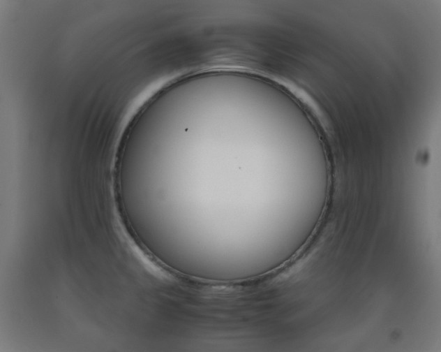 X0000093231333200709261501