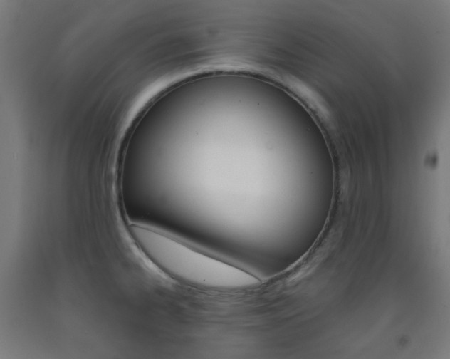 X0000093231334200709261501