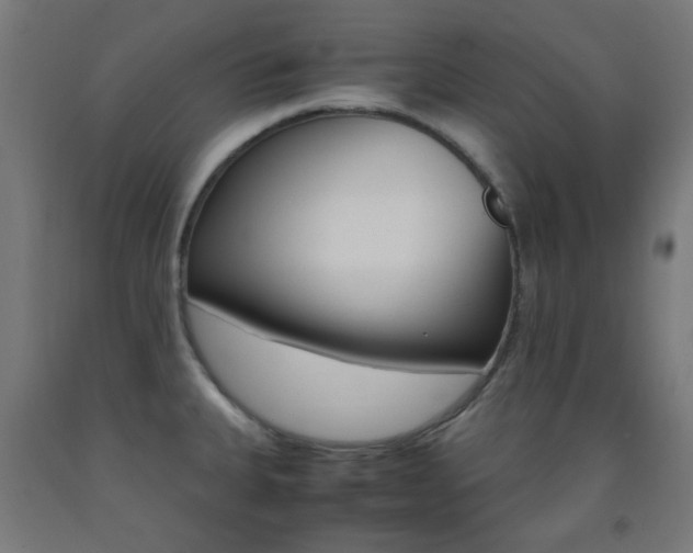 X0000093231335200709261501
