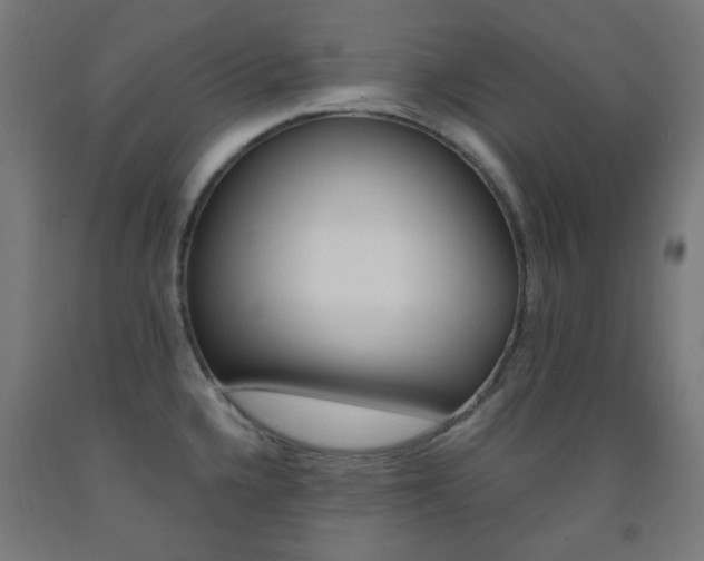 X0000093231336200709261501