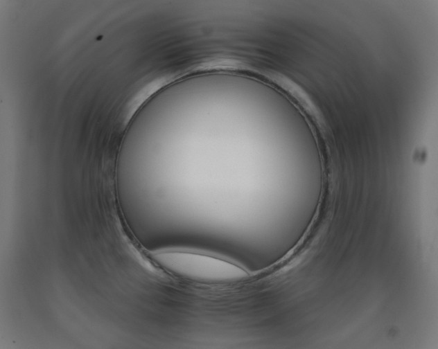 X0000093231337200709261501