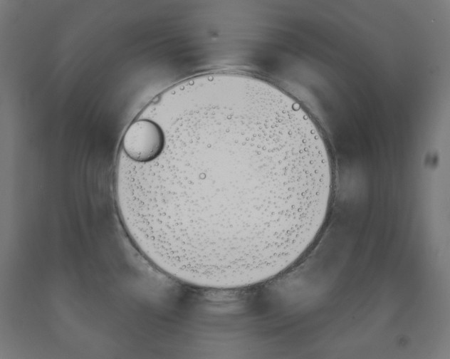 X0000093231338200709261501