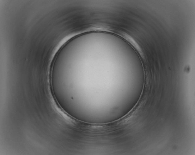X0000093231339200709261501