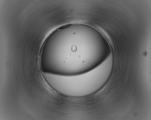 X0000093231340200709261501