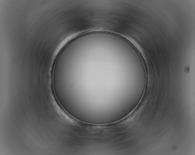X0000093231341200709261501