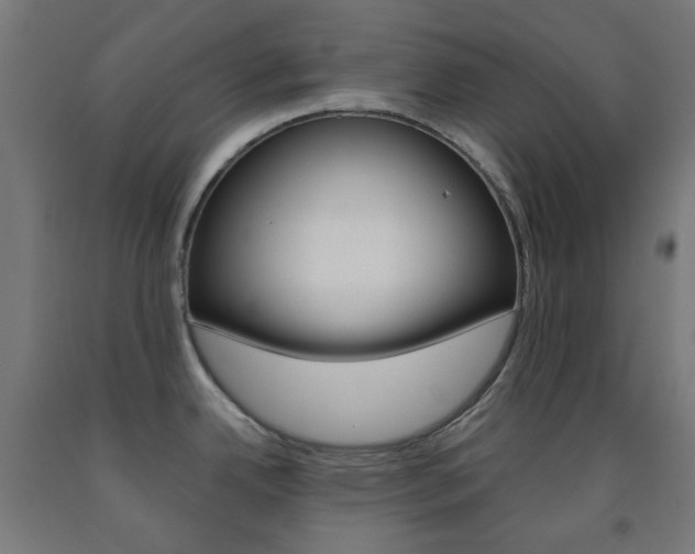 X0000093231342200709261501