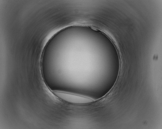 X0000093231344200709261501