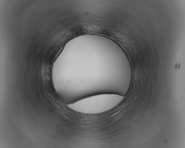 X0000093231346200709261501