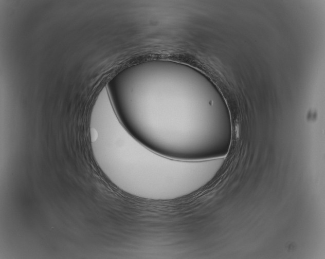 X0000093231347200709261501