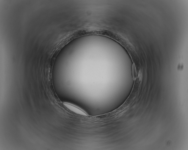 X0000093231348200709261501