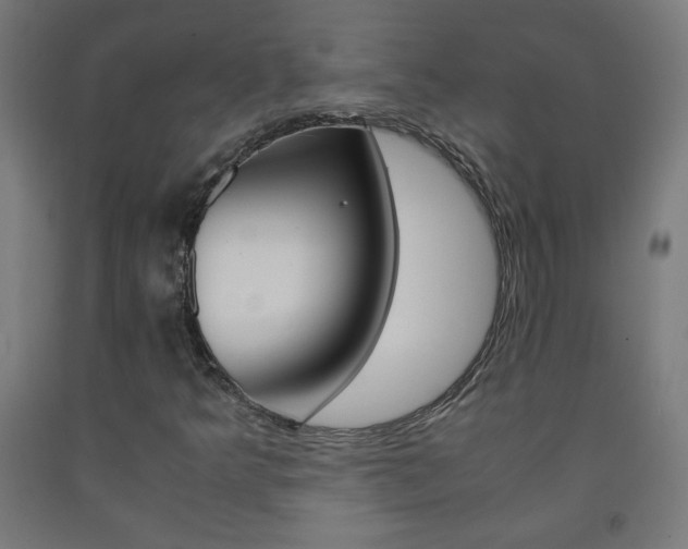 X0000093231349200709261501