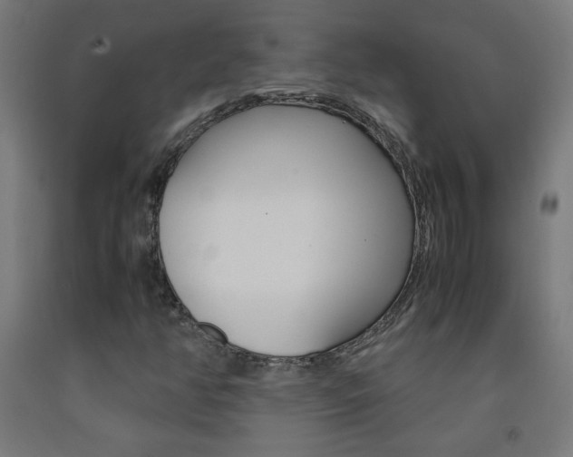 X0000093231350200709261501