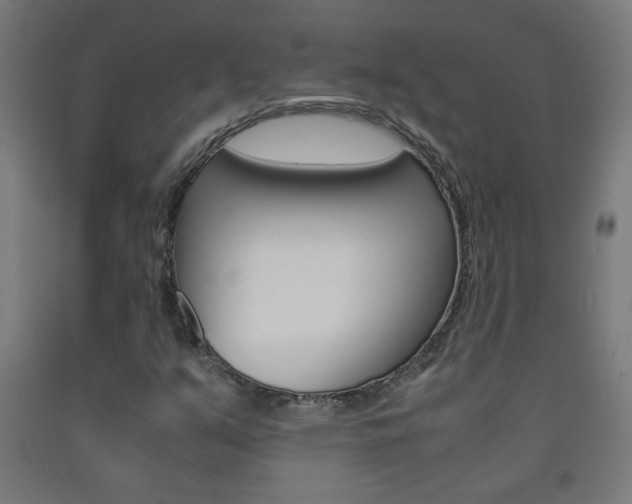 X0000093231351200709261500