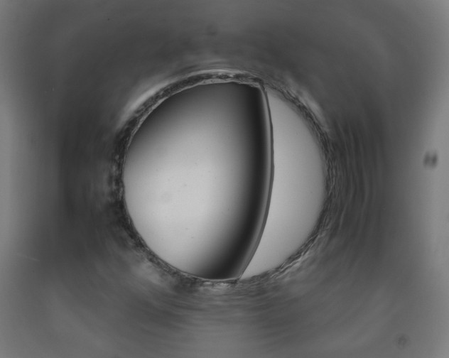 X0000093231352200709261500