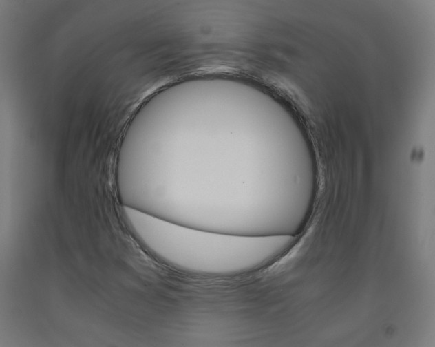 X0000093231353200709261500