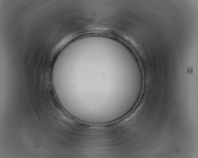 X0000093231354200709261500