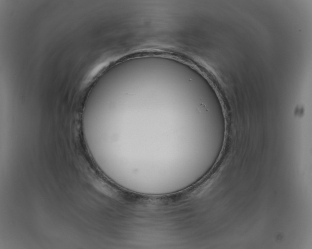 X0000093231355200709261500